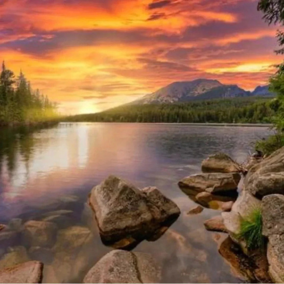 🆕Pink Floyd Cropped  T Shirt - Picture 10 of 14